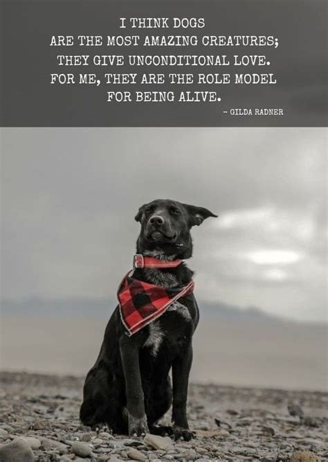 There's no purer form of. Pet Adoption & Transportation Services | Dog quotes, Dog quotes love, Dogs