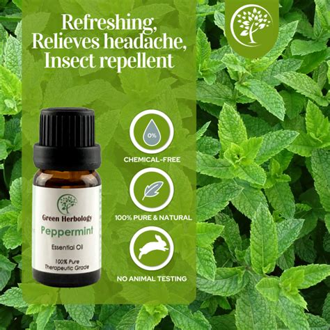 Peppermint Essential Oil Green Herbology