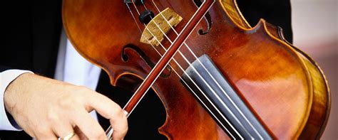 Viola Lessons In Queen Creek Az Musika Music Teachers