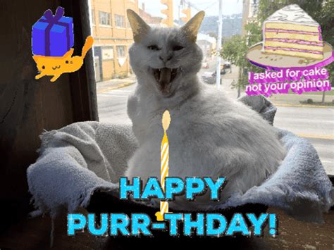 Happy Purr Birthday Cat Surprise 