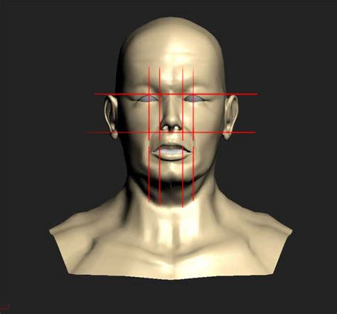 Human Male Head Wip Zbrushcentral
