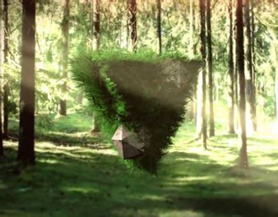 Hairy Forest Triangle On Behance