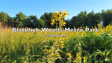 Blacklick Woods Metro Park Columbus Ohio Gopro Hyperlapse Youtube