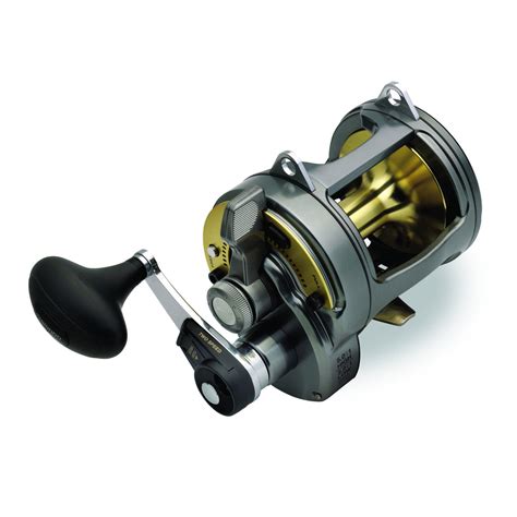 Your Guide To Buying Conventional Reels For Saltwater Fishing Ebay