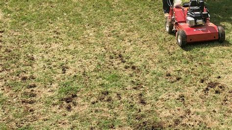 Why You Need To Aerate Your Lawn Waynes Lawn Care