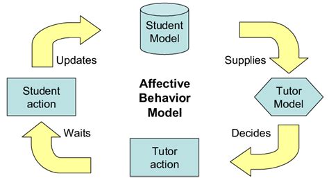 Functional Cycle For The Affective Behavior Model Based On The