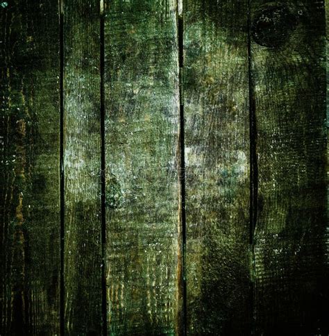 Dark Green Wood Texture