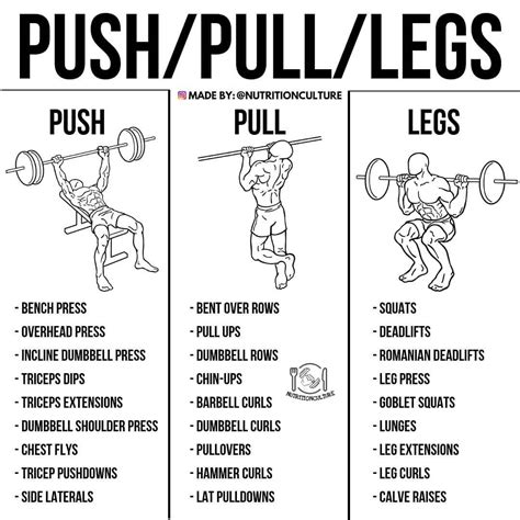 Push Pull Legs Workout Routine For Beginners For Build Muscle Fitness And Workout Abs Tutorial