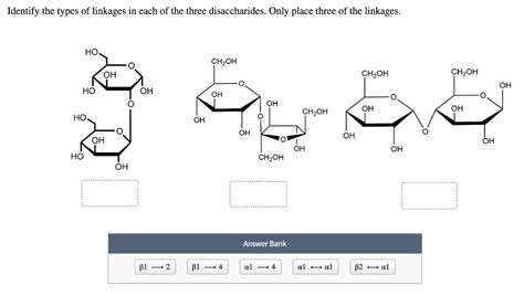 Solved Disaccharides Are Joined By Glycosidic Bonds Formed