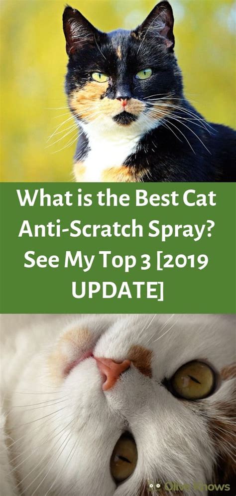 What Is The Best Cat Anti Scratch Spray See My Top 3 2019 Update