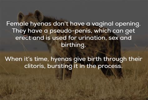 17 Scientific Sex Facts To Get You In The Mood Ftw Gallery Ebaums World