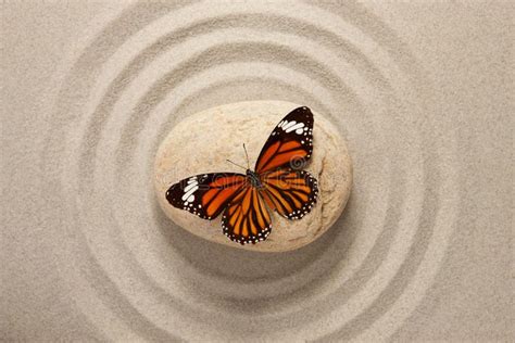Zen Stone With Butterfly Stock Image Image Of Circle 31276045