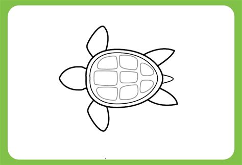 How To Draw A Turtle Step By Step Guide How To Draw