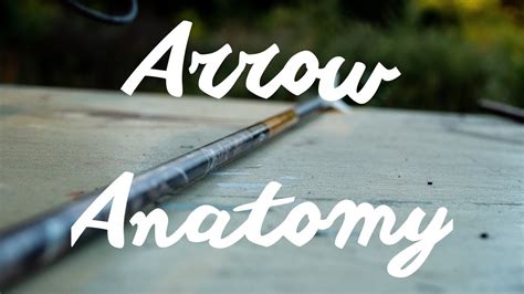 Arrow Anatomy