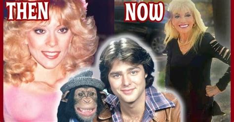 The Cast Of B J And The Bear Then And Now