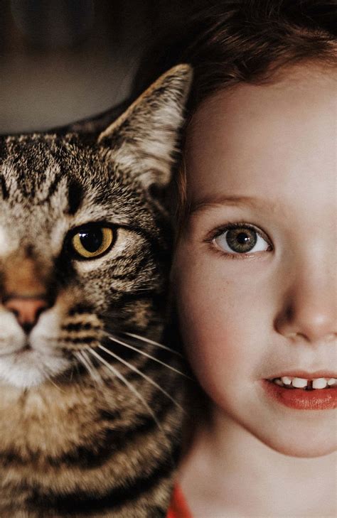 Cat Portraits You Will Fall In Love With These 16 Photos For Sure