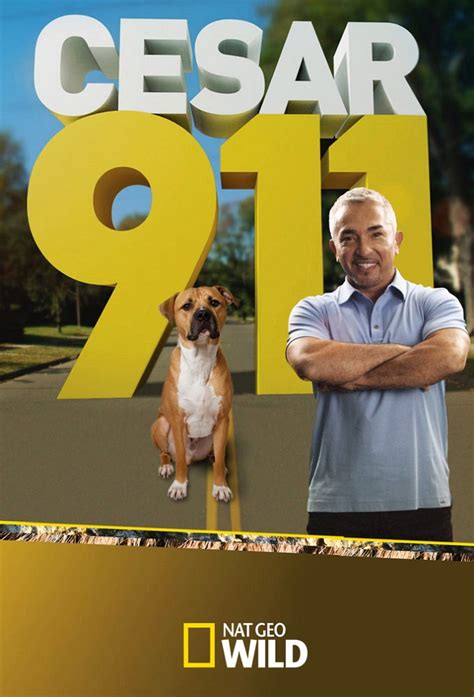 Check spelling or type a new query. What Time Does 'Cesar 911' Come On Tonight?