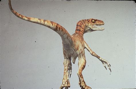 The Lost World Jurassic Park Male Velociraptor Maquette Jurassic Park Concepts Pinterest