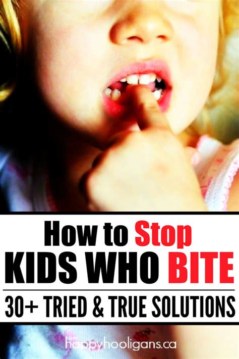 Toddler Biting What To Do And How To Stop It Happy Hooligans