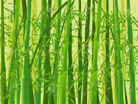 Bamboo Background Clipart