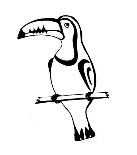 Jen Michel Illustration Angry Toucan