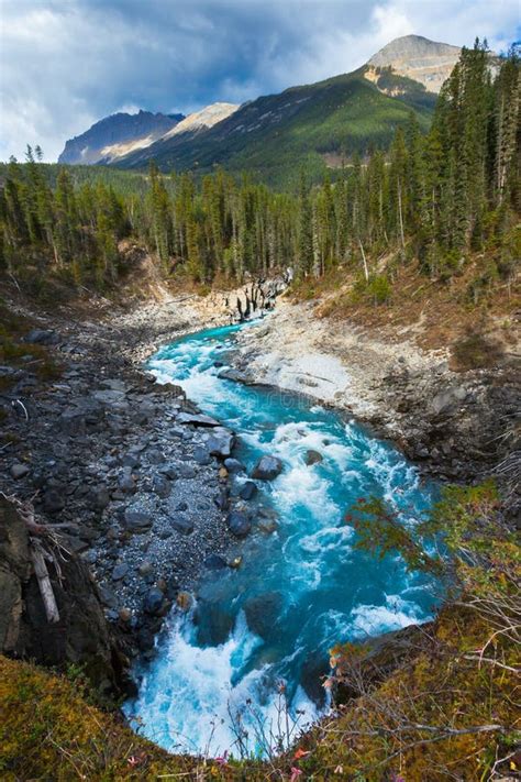 A Mountain And River In The Canadian Rockies Stock Photo Image Of