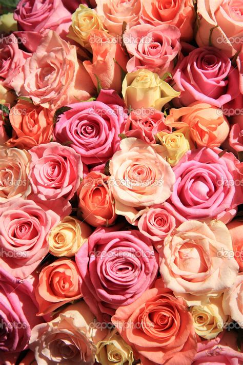 Roses In Different Shades Of Pink Wedding Arrangement — Stock Photo