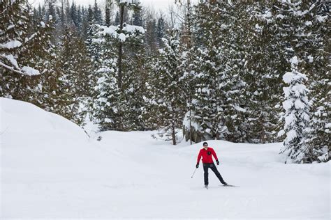 Cross Country Skiing In Fernie Bc At Elk Valley Nordic Centre
