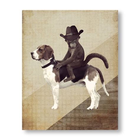 19 Best Images About Cowboy Monkey Rodeos On Pinterest Border Collies The Cowboy And Rodeo