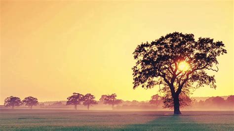 Find & download free graphic resources for background. Background Music For Documentary - Royalty-Free Soundtrack ...