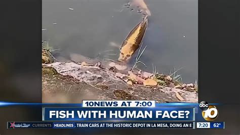 Video Shows Fish With Human Like Face