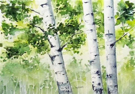 Birch Trees In Spring Original Watercolor For Sale 5 X 7 Etsy