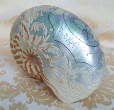 223 Best Seashell Carvings Images On Pinterest Shells