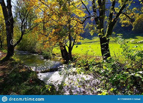 Idyllic Small Mountain Stream With Trees In Autumn Colors On The Bank