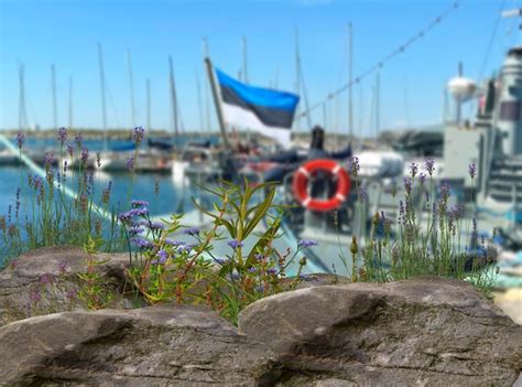Premium Photo Seascape And Wild Flowers In Port Of Tallinn Estonian