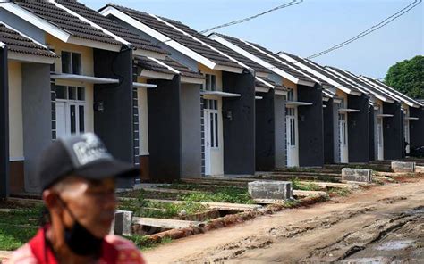 Usahakan jumlahnya lebih dari satu agar anda bisa memanen lebih banyak dalam setahun. Undip Buat Rumah Murah untuk Keluarga Berpenghasilan Rp6 ...