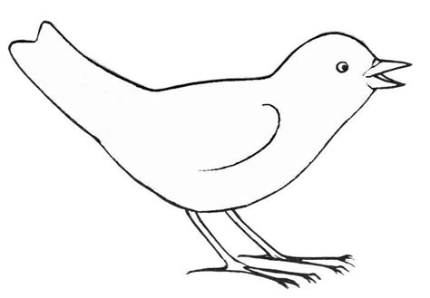 Aves Animales Dibujos Para Colorear E Imprimir Gratis