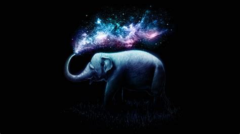 Elephant 4k Wallpaper Colorful Surreal Amoled Black Background 5k