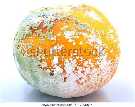 Decaying Orange Attacked By Fungus Stock Photo 2112490643 Shutterstock
