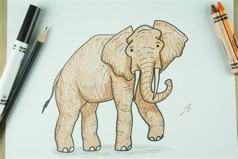 ️ How To Draw An Elephant