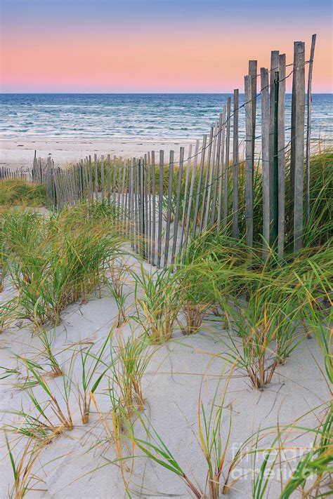 Sand Dune Fences Cape Cod Photograph By Henk Meijer Photography Fine