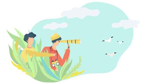 Bird Watcher Man Illustrations Royalty Free Vector Graphics And Clip Art