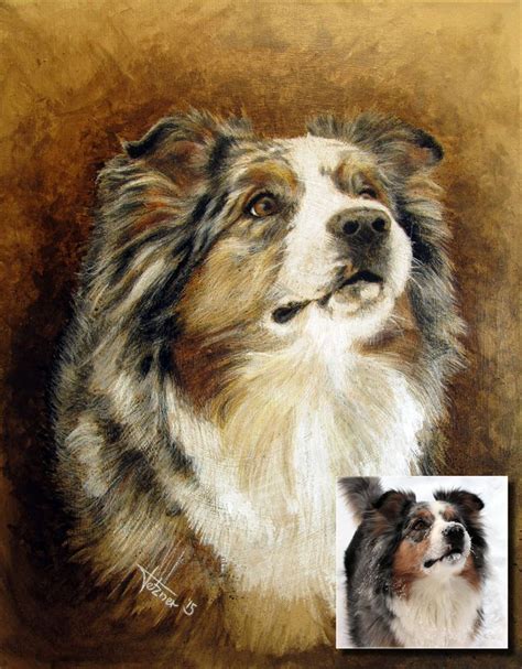 Portrait Of Australian Shepherd Faye Acrylic Paint And Colored