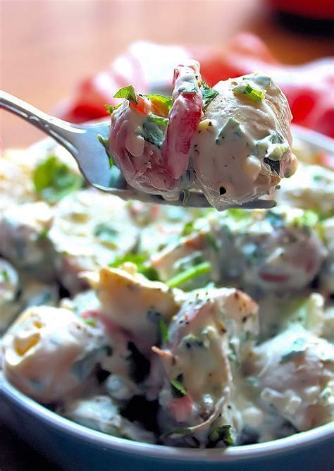 This classic potato salad recipe is easy, creamy, and will remind you of the potato salad that your grandma used to make! Sour Cream and Dill Potato Salad | The McCallum's Shamrock ...