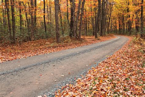 Winding Autumn Forest Road Hickory Run By Somadjinn On Deviantart
