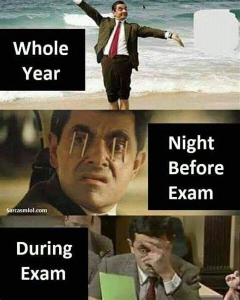 Exams Memes Exams Funny Exam Quotes Funny School Quotes Funny Cute