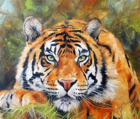 Tiger Superb New David Stribbling Oil Painting Tiger Art Oil
