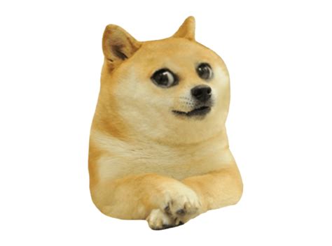 Pin On Doge Y Cheems
