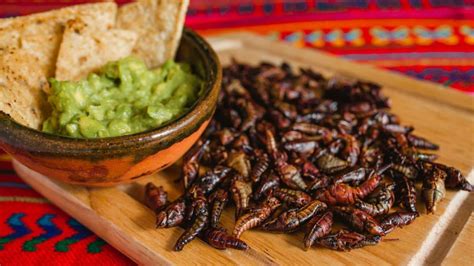8 Insectes Comestibles Exquis Du Mexique Que Vous Devriez Essayer