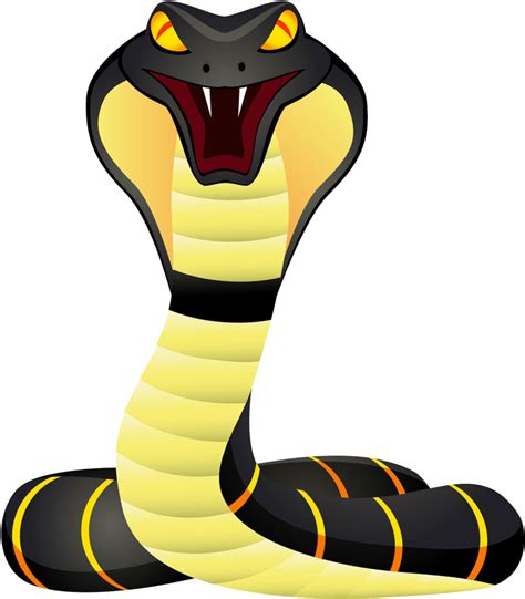 Cobra Snake Png Clipart Png Mart